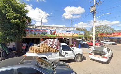 Veterinario Veterinaria San Marcos
