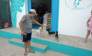 Veterinario Veterinaria Zoo Mania