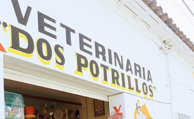 Veterinario Veterinaria dos potrillos