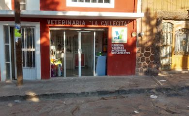 Veterinario Veterinaria la callesita