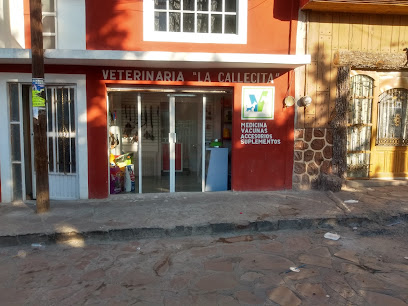 Veterinario Veterinaria la callesita