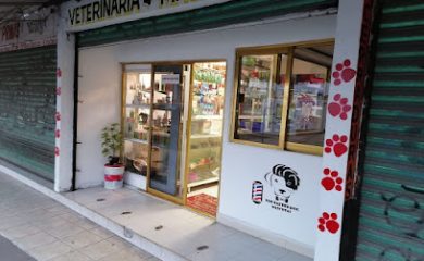 Veterinario Veterinaria mascota