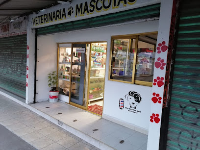 Veterinario Veterinaria mascota