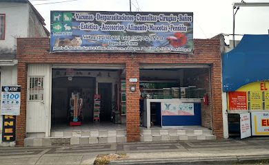 Veterinario Veterinaria y Acuario Medivet