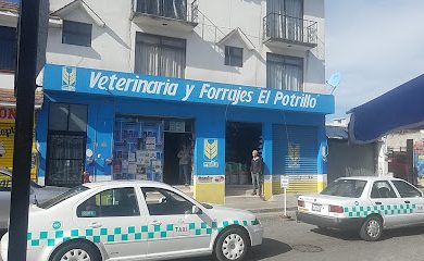 Veterinario Veterinaria y Forrajes - El Potrillo