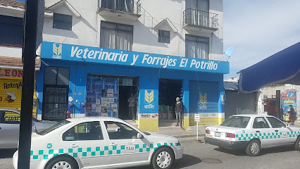 Veterinario Veterinaria y Forrajes - El Potrillo