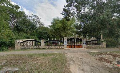 Veterinario Veterinario