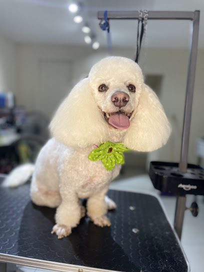 Veterinario Yuri Guerrero Estilista Canino (Barber Dogs)