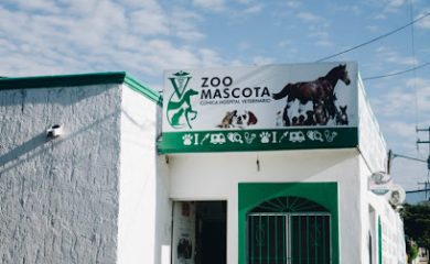 Veterinario ZOO MASCOTA