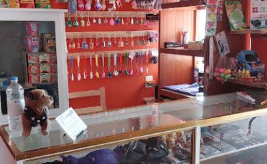 Veterinario ZonAnimal Tecpan
