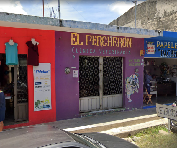 Servicios veterinarios en Veterinaria El Percherón, Escuintla, Chiapas.