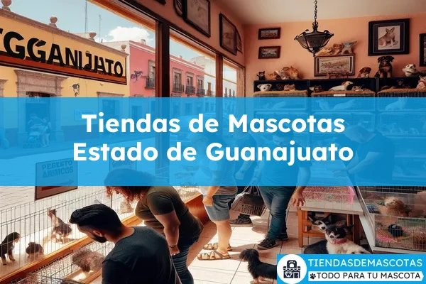 Estado de Guanajuato