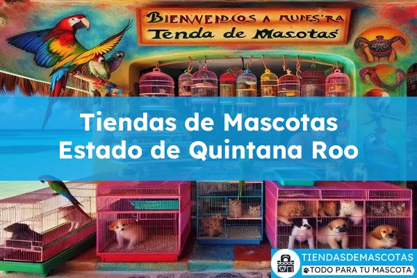 Estado de Quintana Roo