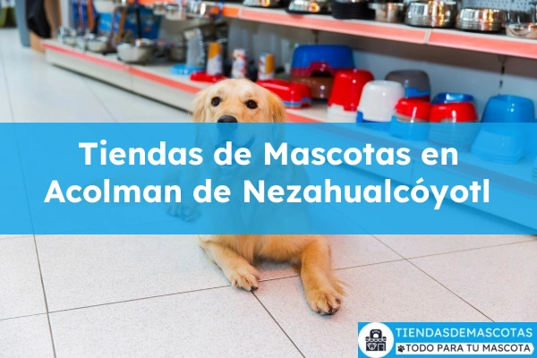 Tiendas de mascotas en Acolman de Nezahualcóyotl