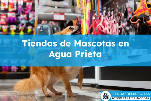 Tiendas de mascotas en Agua Prieta