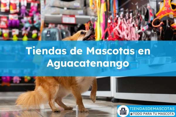 Tiendas de mascotas en Aguacatenango