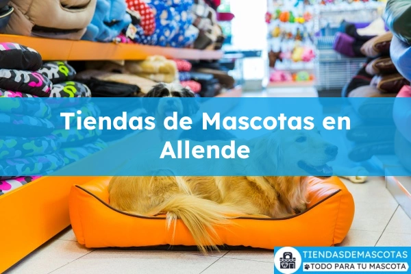 Tiendas de mascotas en Allende