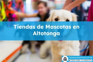 Tiendas de mascotas en Altotonga
