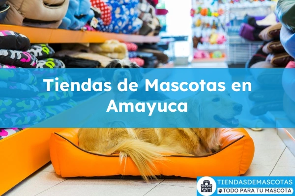 Tiendas de mascotas en Amayuca