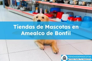Tiendas de mascotas en Amealco de Bonfil