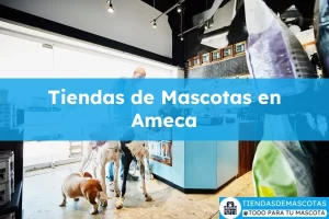 Tiendas de mascotas en Ameca