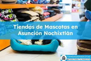 Tiendas de mascotas en Asunción Nochixtlán