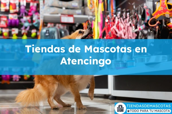 Tiendas de mascotas en Atencingo