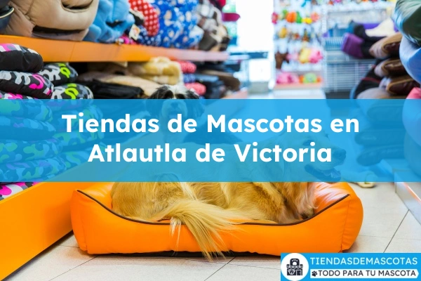 Tiendas de mascotas en Atlautla de Victoria