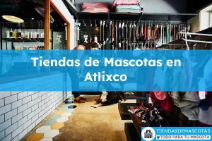 Tiendas de mascotas en Atlixco