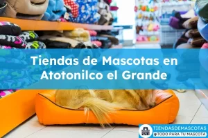Tiendas de mascotas en Atotonilco el Grande