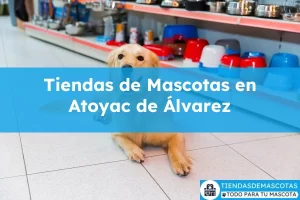 Tiendas de mascotas en Atoyac