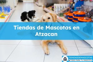 Tiendas de mascotas en Atzacan