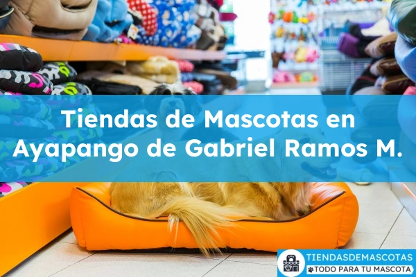 Tiendas de mascotas en Ayapango de Gabriel Ramos M.