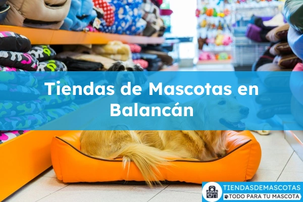 Tiendas de mascotas en Balancán