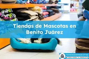 Tiendas de mascotas en Benito Juárez