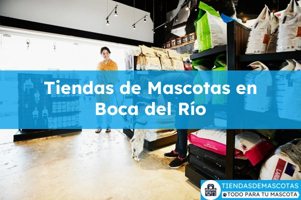Tiendas de mascotas en Boca del Río