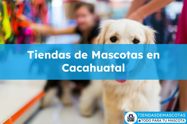 Tiendas de mascotas en Cacahuatal