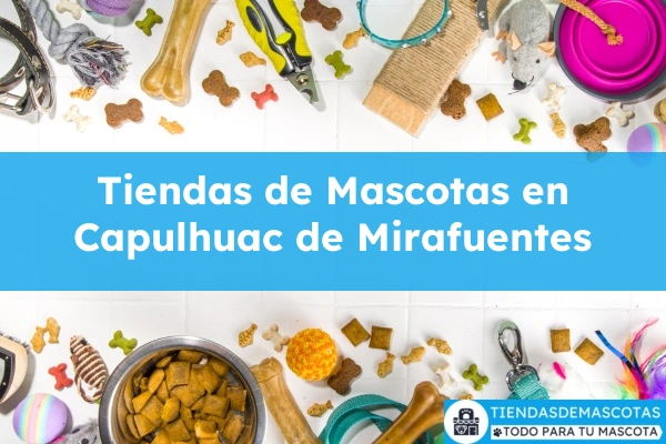 Tiendas de mascotas en Capulhuac de Mirafuentes