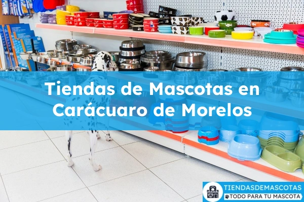 Tiendas de mascotas en Carácuaro de Morelos