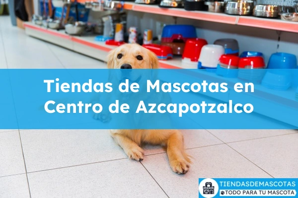Tiendas de mascotas en Centro
