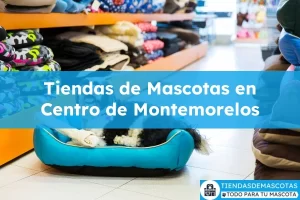 Tiendas de mascotas en Centro de Montemorelos