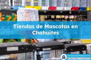 Tiendas de mascotas en Chahuites