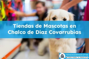 Tiendas de mascotas en Chalco de Díaz Covarrubias