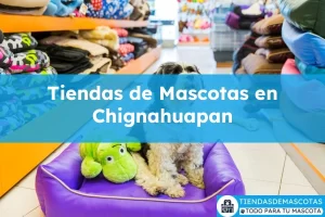 Tiendas de mascotas en Chignahuapan