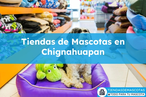 Tiendas de mascotas en Chignahuapan