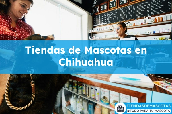 Tiendas de mascotas en Chihuahua