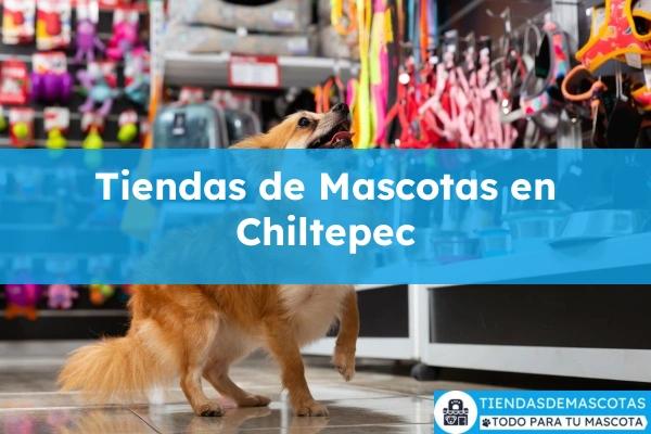 Tiendas de mascotas en Chiltepec