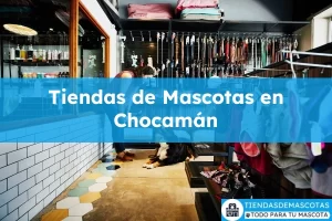 Tiendas de mascotas en Chocamán