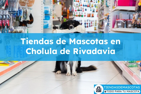 Tiendas de mascotas en Cholula de Rivadavia