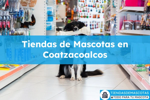Tiendas de mascotas en Coatzacoalcos